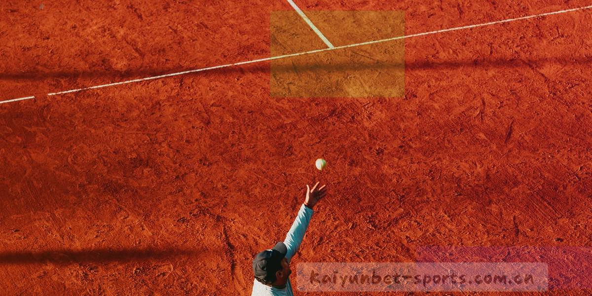 红黄牌记录检索条件与结果列表的结构示意